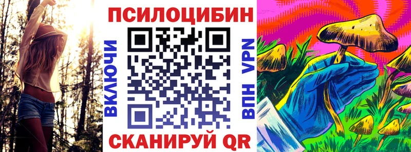 Псилоцибиновые грибы мицелий  ОМГ ОМГ ссылки  Усть-Джегута 