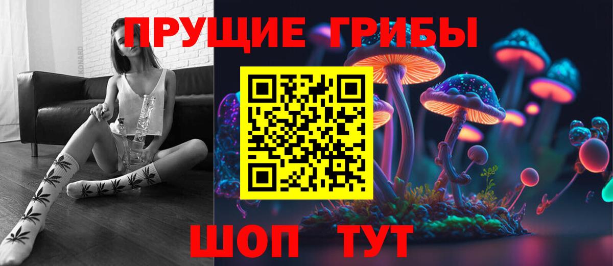 Псилоцибиновые грибы мицелий  Вход с VPN  Усть-Джегута  Псилоцибиновые грибы Cubensis 